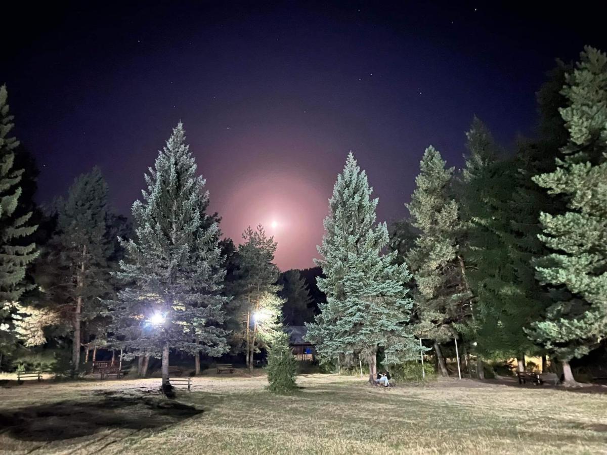 Mountain Resort Gantiadi Borjomi Exteriör bild