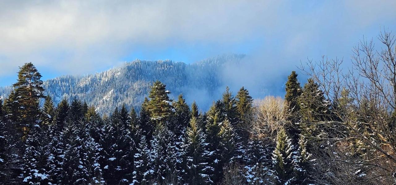 Mountain Resort Gantiadi Borjomi Exteriör bild