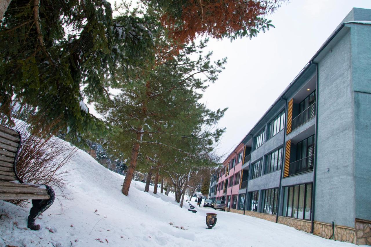 Mountain Resort Gantiadi Borjomi Exteriör bild